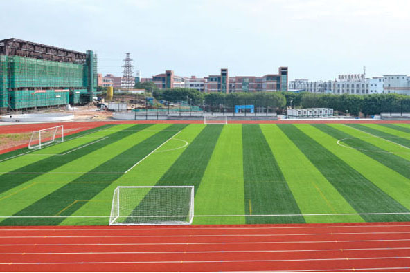 Dongguan Shilong Middle School Gymnasium