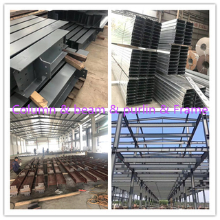 Exllecent Type Epoxy Painted Steel Structure Warehouse